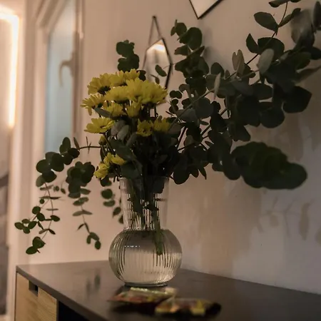 Rooms Vita Penzion *